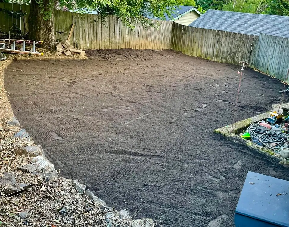 Backyard graded to fall away from the house before landscaping