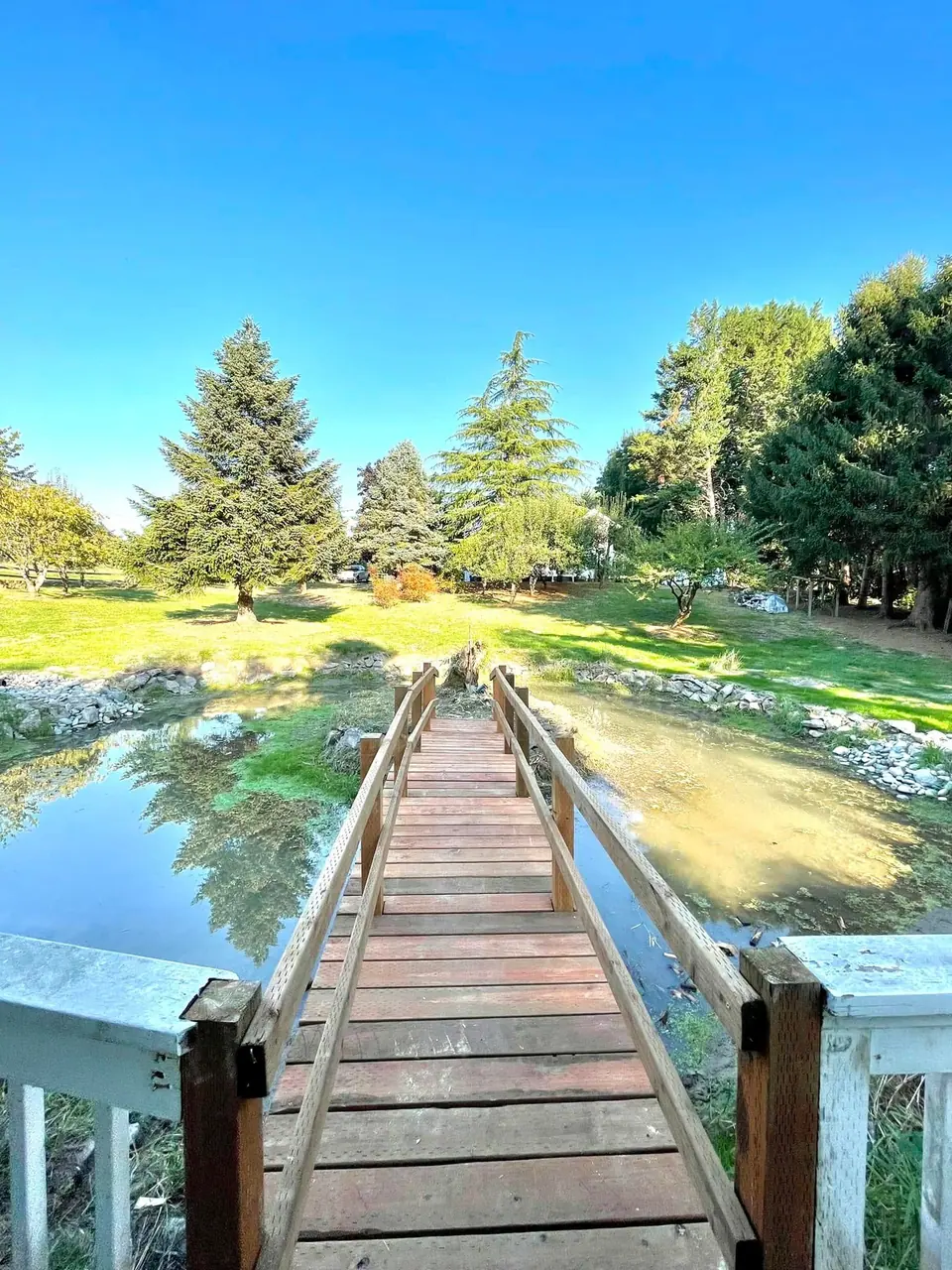 Backyard pond crossed by a timber footbridge