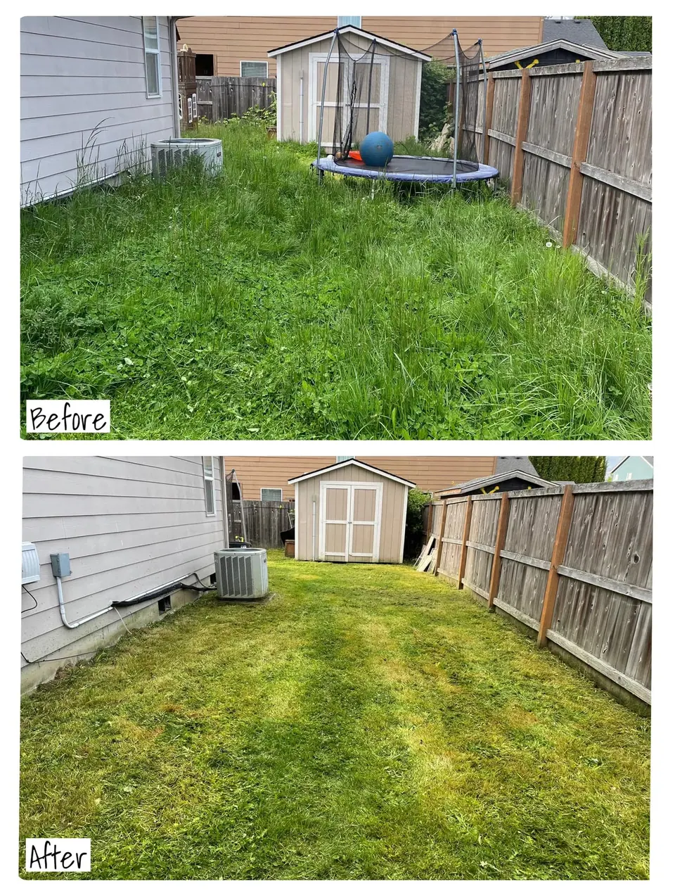 Before and after of a backyard lawn renovation behind a new fence