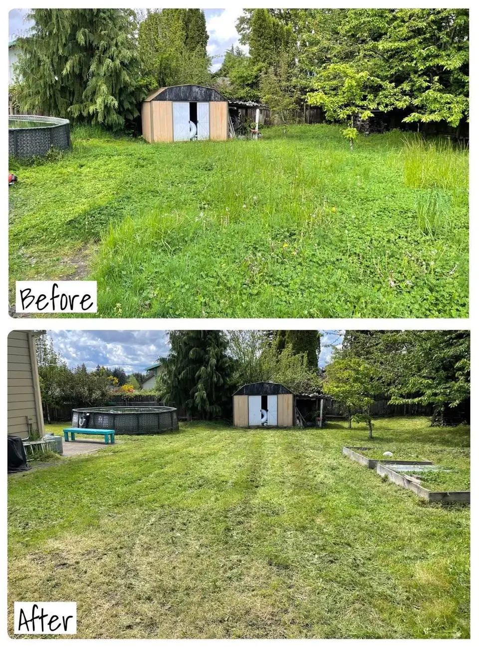 Before and after of a weedy backyard replaced with fresh sod