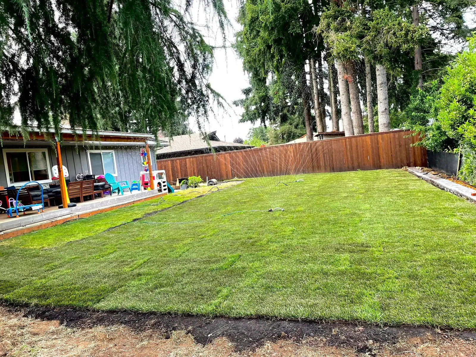 Fresh sod backyard bordered by a cedar privacy fence