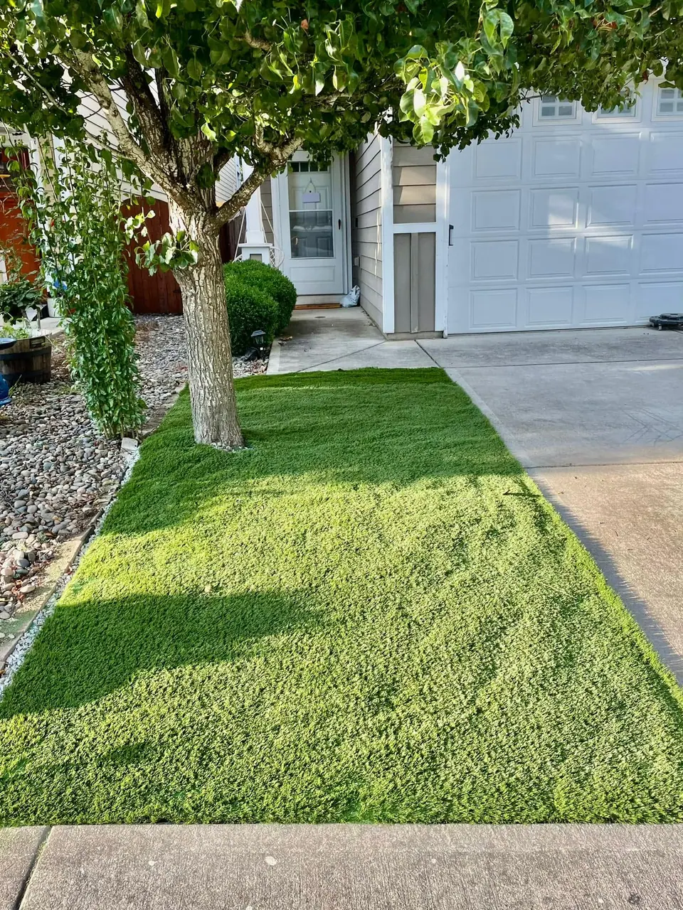 Front yard sod and decorative rock bed at a Ridgefield home