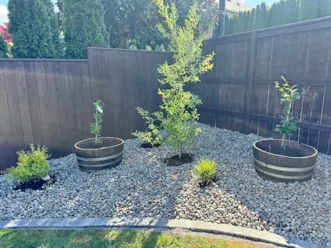 Galvanized planters and shrubs set in a decorative gravel bed