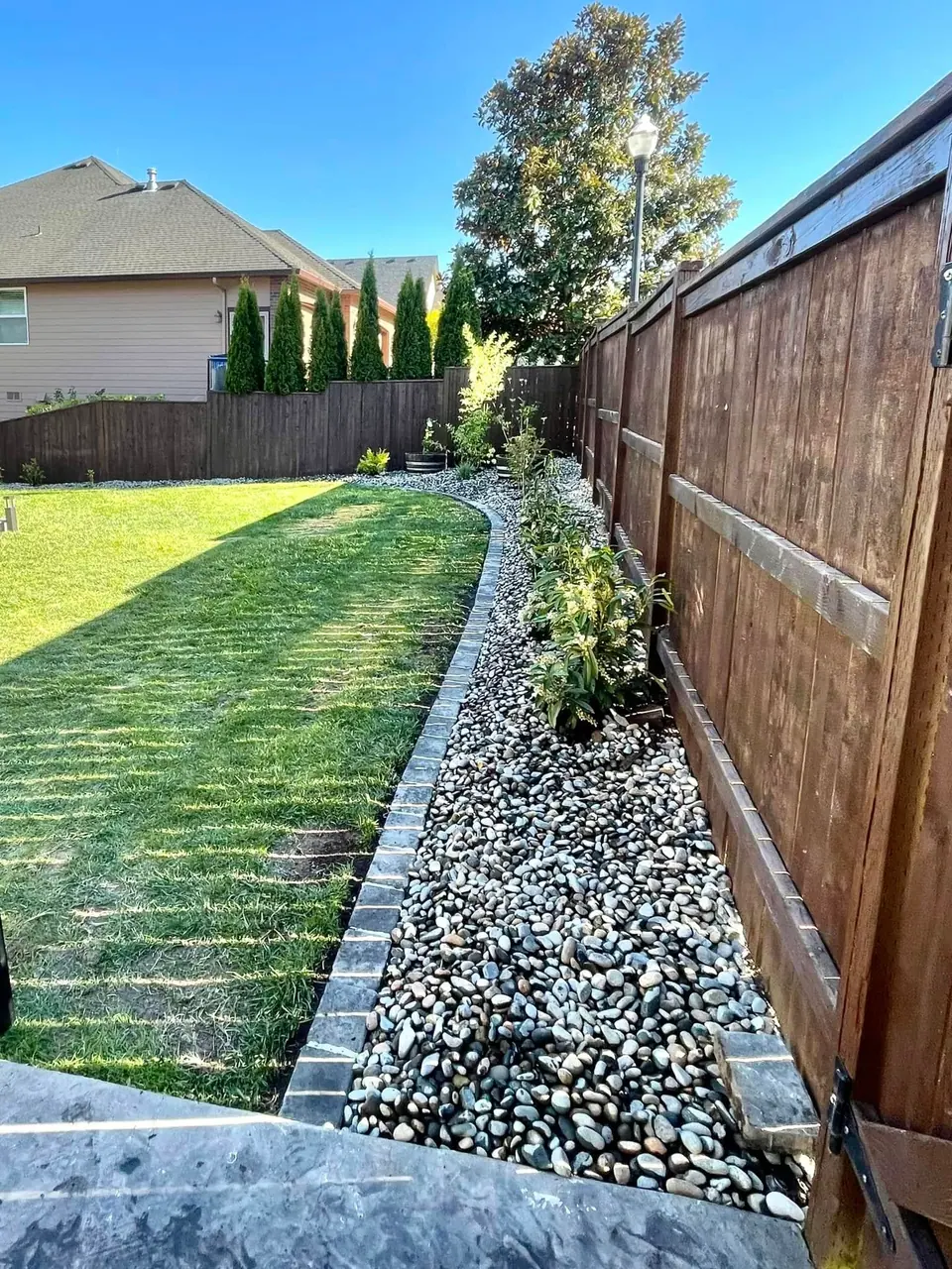 Lawn edged with a white decorative rock border along a fence