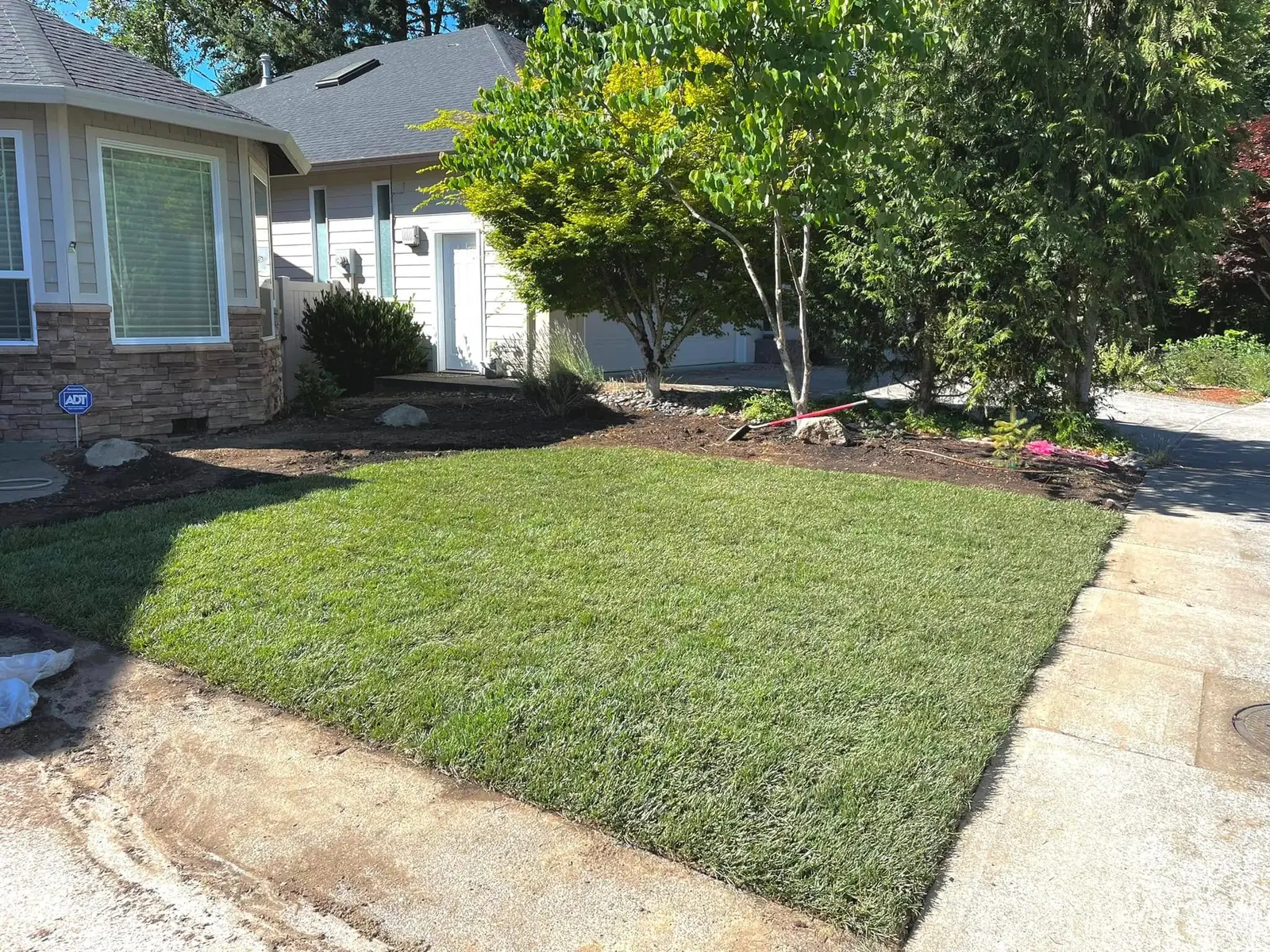 New lawn and concrete walkway along a shaded side yard